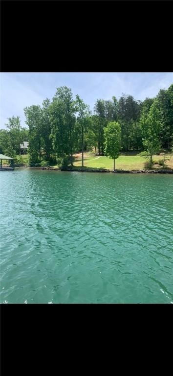 149 Gap Hill Rd, Six Mile, SC 29682 - photo 8