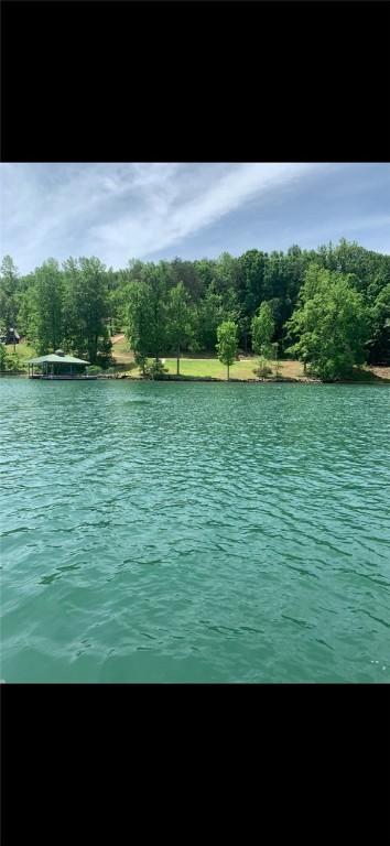 149 Gap Hill Rd, Six Mile, SC 29682 - photo 9