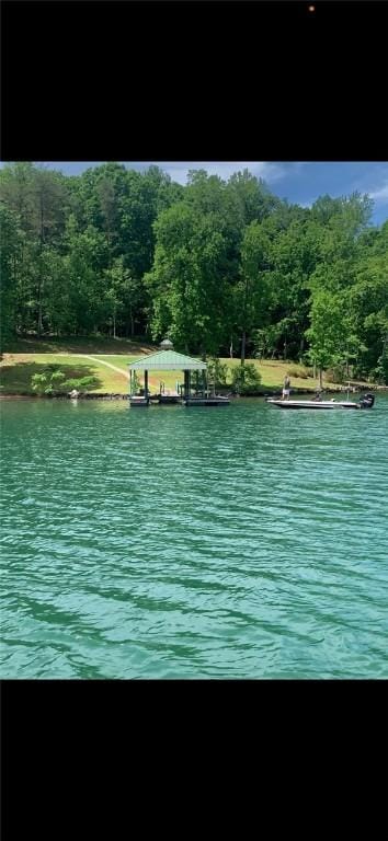 149 Gap Hill Rd, Six Mile, SC 29682 - photo 10