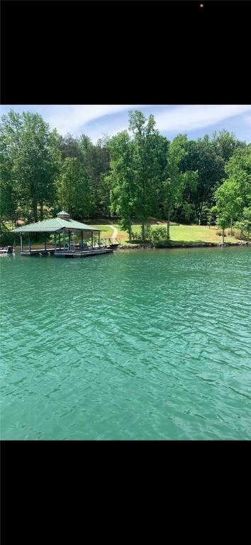 149 Gap Hill Rd, Six Mile, SC 29682 - photo 11