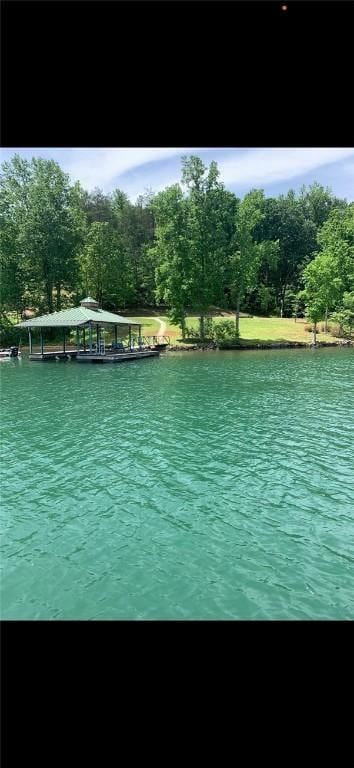 149 Gap Hill Rd, Six Mile, SC 29682 - photo 12