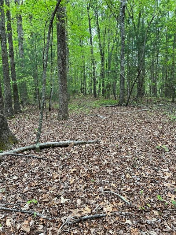 334 Ridge Rd, Salem, SC 29676 - photo 5