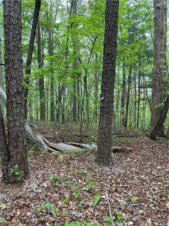 334 Ridge Rd, Salem, SC 29676 - photo 6