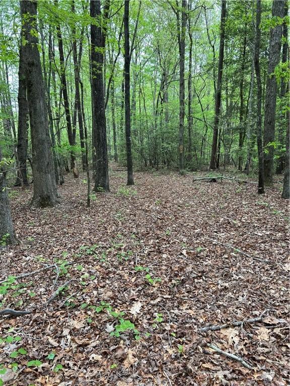 334 Ridge Rd, Salem, SC 29676 - photo 7