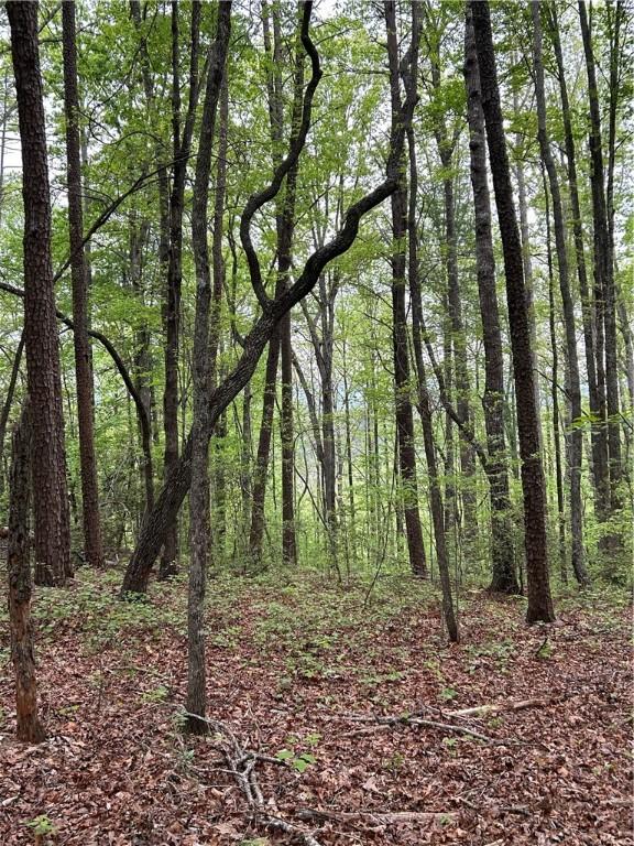 334 Ridge Rd, Salem, SC 29676 - photo 8