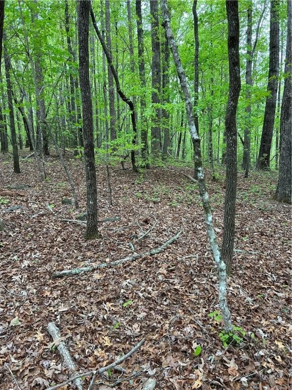 334 Ridge Rd, Salem, SC 29676 - photo 9