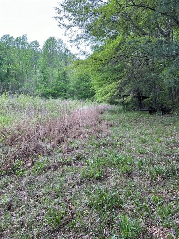 334 Ridge Rd, Salem, SC 29676 - photo 11