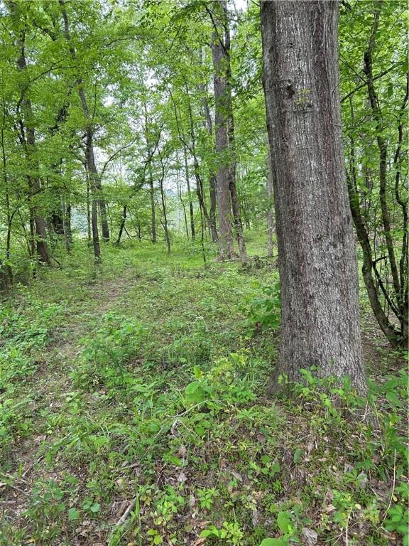 334 Ridge Rd, Salem, SC 29676 - photo 14