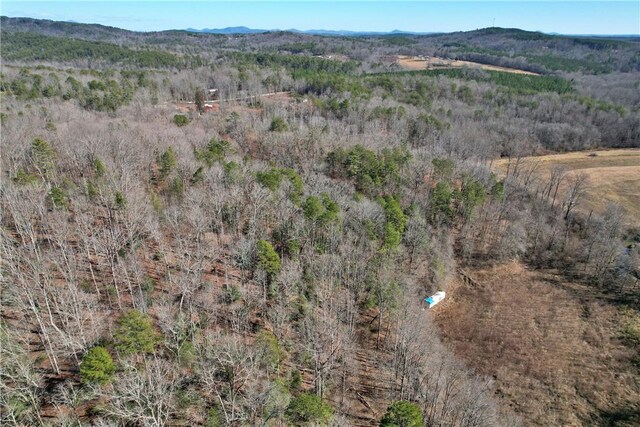 334 Ridge Rd, Salem, SC 29676 - photo 23