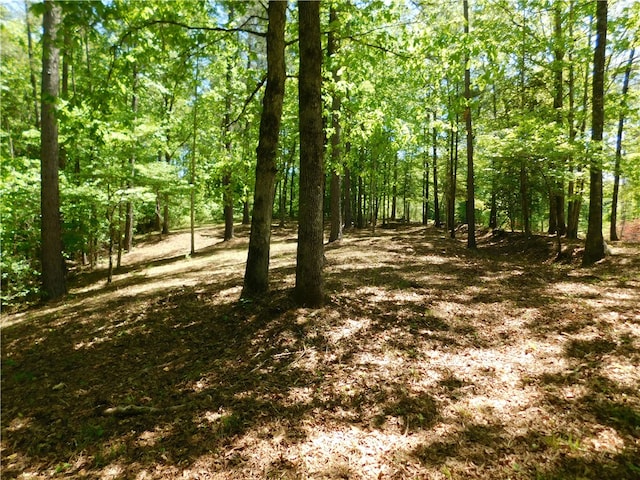 Listing photo 3 for Lot47 Cliffs S Parkway, Salem SC 29676