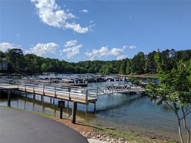 view of dock with a water view