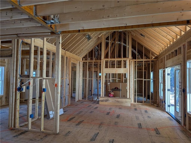 miscellaneous room featuring vaulted ceiling and a wealth of natural light