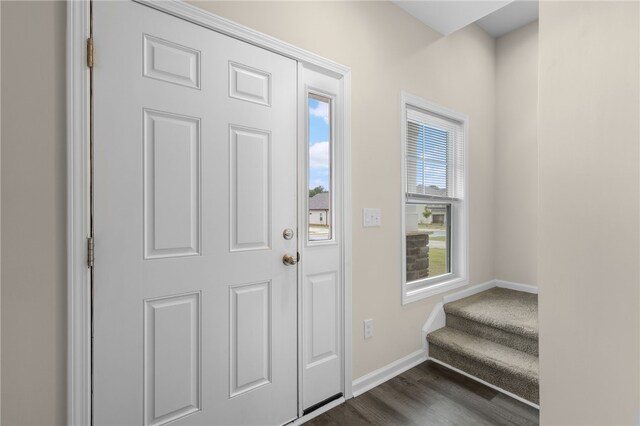 entrance foyer featuring dark hardwood / wood-style flooring