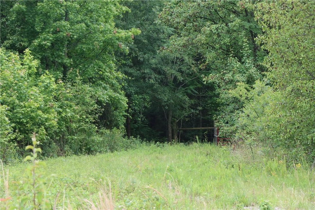 00 Young Rd, Starr, SC 29684