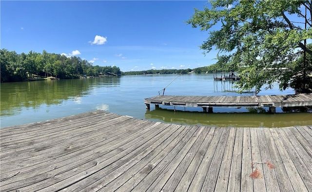 369 Paradise Pt, Abbeville, SC 29620 - photo 11