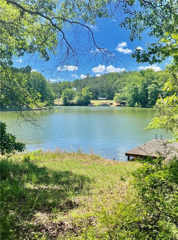 369 Paradise Pt, Abbeville, SC 29620