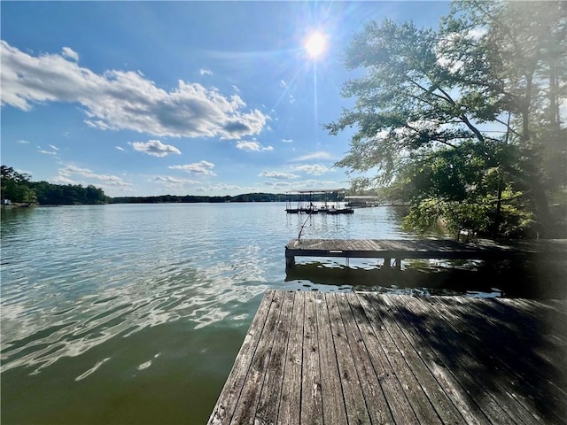 369 Paradise Pt, Abbeville, SC 29620 - photo 17