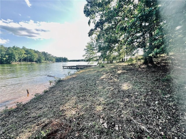 369 Paradise Pt, Abbeville, SC 29620 - photo 18