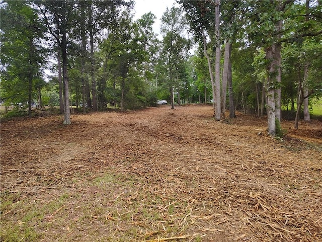 369 Paradise Pt, Abbeville, SC 29620 - photo 30