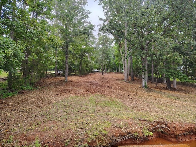 369 Paradise Pt, Abbeville, SC 29620 - photo 32