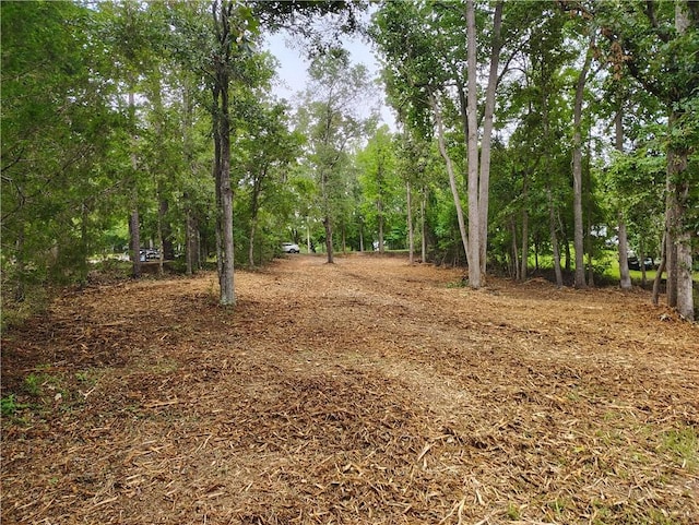 369 Paradise Pt, Abbeville, SC 29620 - photo 35