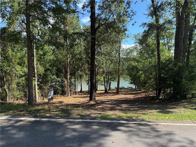 369 Paradise Pt, Abbeville, SC 29620 - photo 3