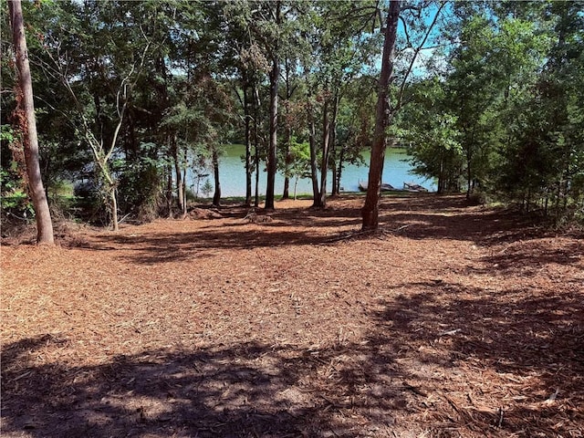 369 Paradise Pt, Abbeville, SC 29620 - photo 4