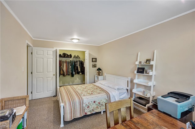 carpeted bedroom with a spacious closet, a closet, and crown molding