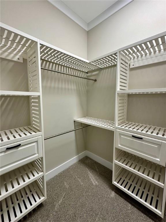 spacious closet featuring dark colored carpet