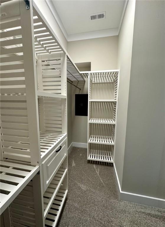 spacious closet with dark colored carpet