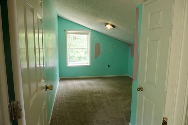 additional living space featuring carpet flooring, a textured ceiling, and vaulted ceiling