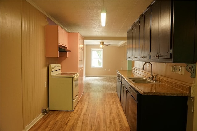 kitchen featuring light hardwood / wood-style floors, dishwasher, white electric range oven, ceiling fan, and sink