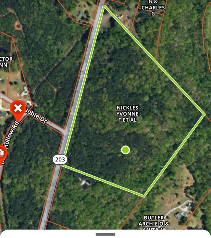 00 Old Douglas Mill Rd, Abbeville, SC 29620 - photo 2