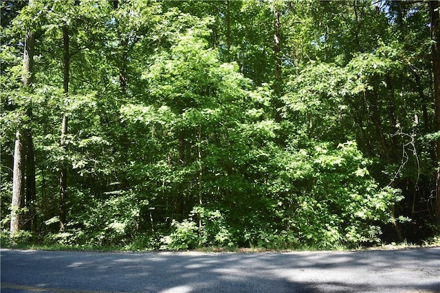 LOT2306 Chickasaw Pt, Westminster, SC 29693 - photo 1