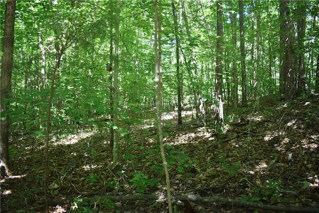 LOT2306 Chickasaw Pt, Westminster, SC 29693 - photo 2