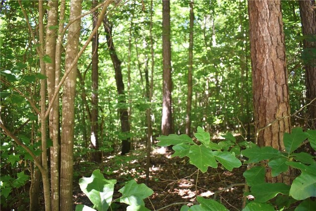LOT2306 Chickasaw Pt, Westminster, SC 29693 - photo 3