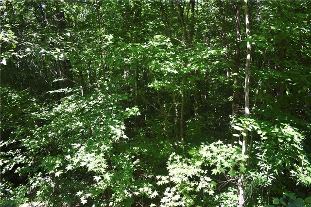 LOT2306 Chickasaw Pt, Westminster, SC 29693 - photo 4