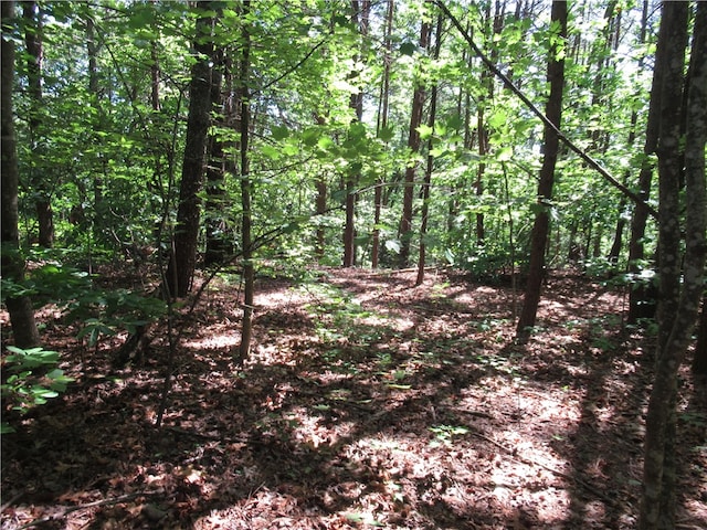 221 River Bliff Rd, Cleveland SC, 29635 land for sale