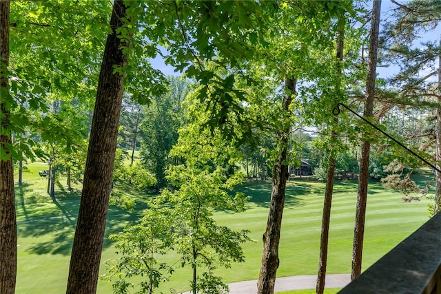 view of property's community with a lawn