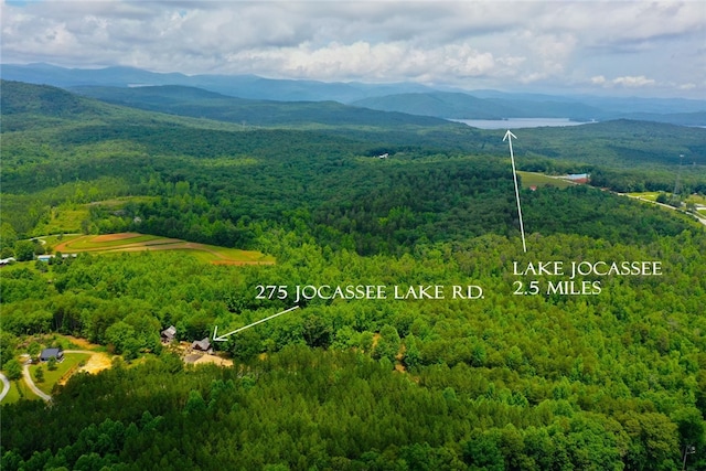 bird's eye view with a mountain view