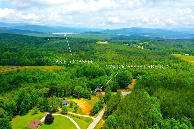 aerial view featuring a mountain view