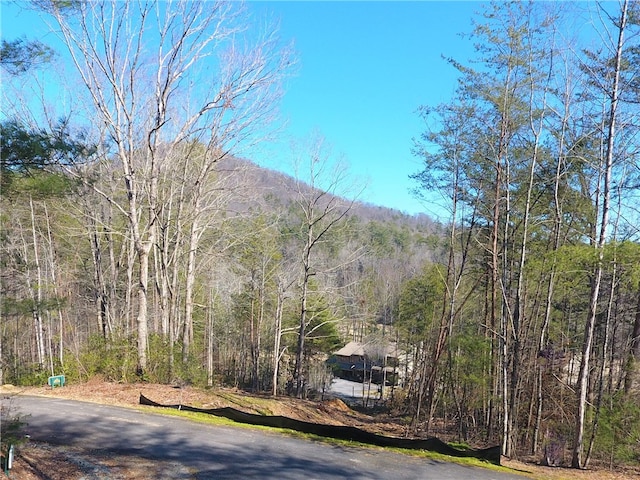 100 Fireside Ln, Pickens SC, 29671 land for sale