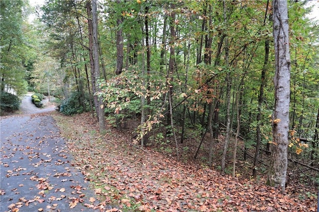 100 Fireside Ln, Pickens, SC 29671