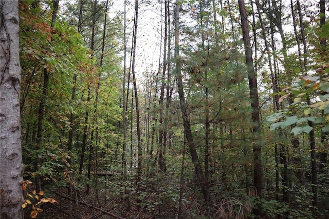 100 Fireside Ln, Pickens, SC 29671
