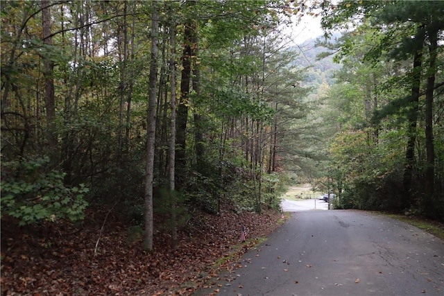 100 Fireside Ln, Pickens, SC 29671
