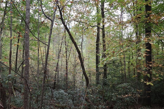 100 Fireside Ln, Pickens, SC 29671