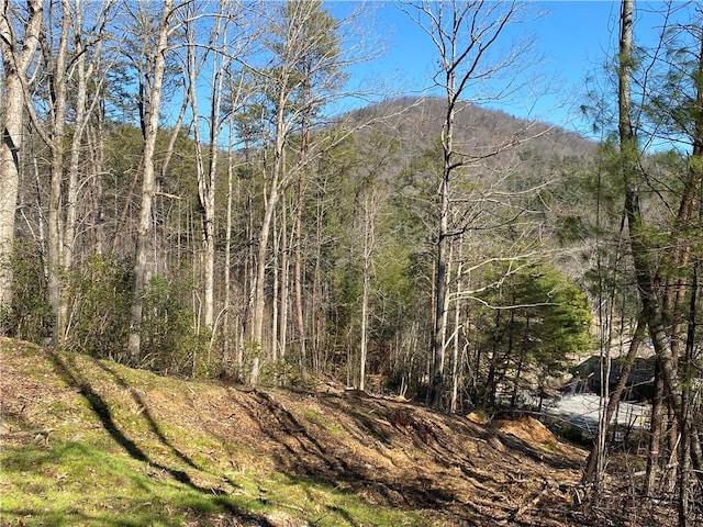 100 Fireside Ln, Pickens, SC 29671