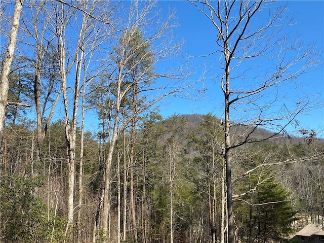 100 Fireside Ln, Pickens, SC 29671
