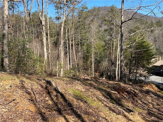 100 Fireside Ln, Pickens, SC 29671