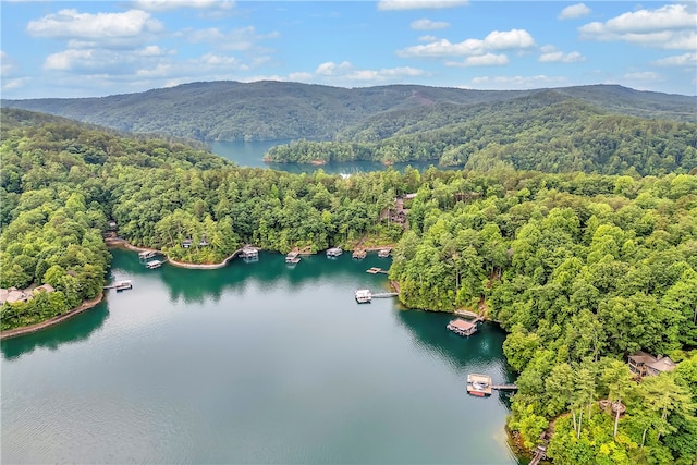 aerial view featuring a water and mountain view